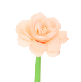 907abff24733f35be984cb464d96c578.png