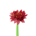 cd0bebf8641e350d11c9925145063156.png