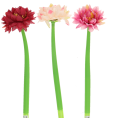 9e45a4a86668dc479ce19be94ea0efe5.png
