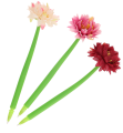 7f592596e9d6f0eb5f1710346ff68692.png