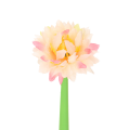b409ab0739d9a919bbacf63ac972a3af.png