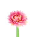 c994e3f229ceb0f52ca8d53014451f08.png