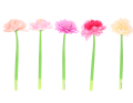 ed5fab76a160f2f750defa848e5164e9.png