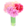 29d909047614d2eddad0b03dc6737997.png