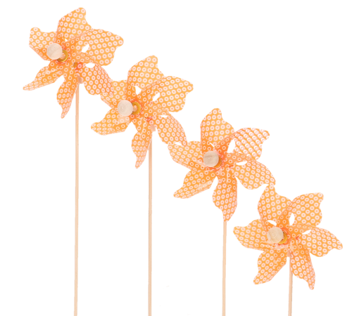 904b6f8c28cbb4ab136e561119766929.png
