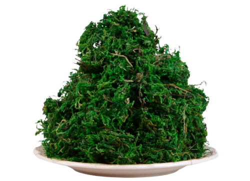 1e3d233a23551654625d941ca411951e.png