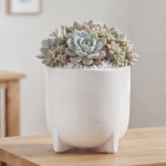 Osłonka ceramiczna biała szkliwiona 10cm