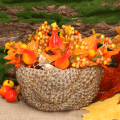 b058c980cf656d8f47b55fb415a90801.png