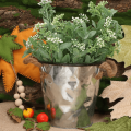 98caaa175360332ebccbfcadb3ed8667.png