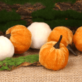04fa0179b3d552592dfb8b038b0bb76f.png