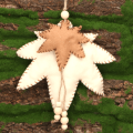 82d7b7940ac8320c964ce1932d340459.png
