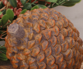 63b5289a5e85d8f49b128e08cb320d18.png
