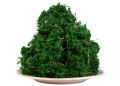1e3d233a23551654625d941ca411951e.png