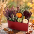981df6ae92b03037fc8b7d76e3012e35.jpg