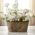 7487ec3fcf055b68a4b0dfcf3f569326.png