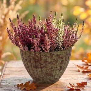 Doniczka osłonka złota przecierana 13cm