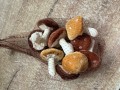 IMG_6737.jpeg