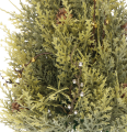 GALAZKI_2d_0042.png