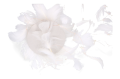 test_2D_0005_large.png