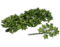 gwiazdki_brokatowe_myh194406-zielony_2D_0001_large.png