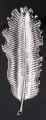 MYH199911_sreb_lisc_2d_0001.png