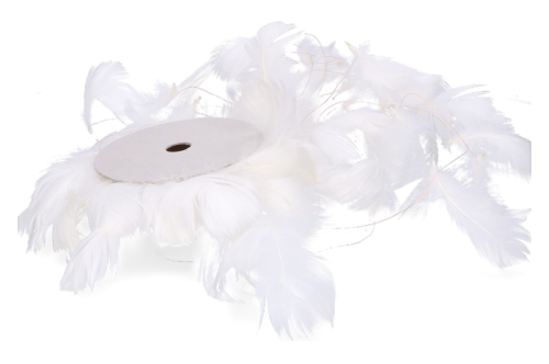 test_2D_0001_large.png