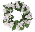 MYH196070_2d_0001.png
