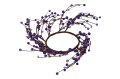 myh190157-fiolet.png