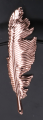 MYH199900_lisc_miedziany_2d_0001.png