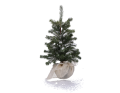 snieg_myh192865_wypelniacz_2D_0004_large.png