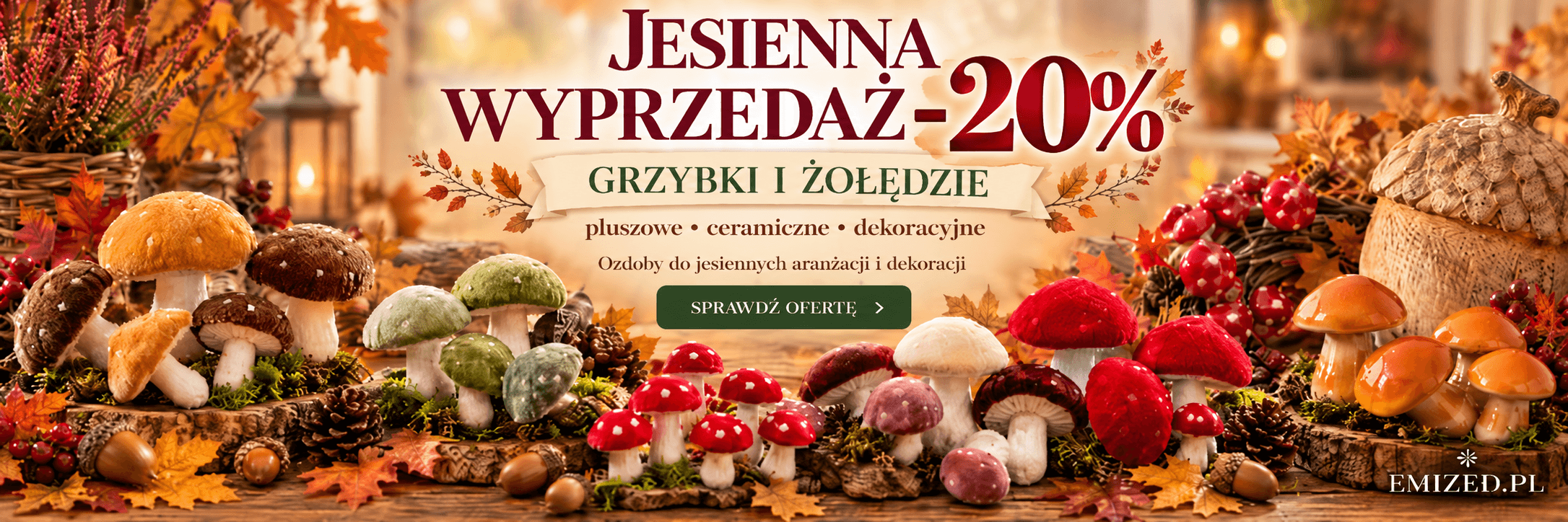 PROMOCJA